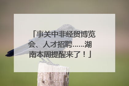 事关中非经贸博览会、人才招聘……湖南本周提醒来了！